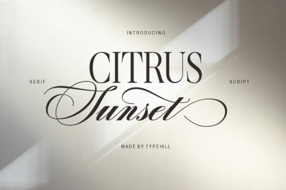 Citrus Sunset: A Designer’s Honest Review