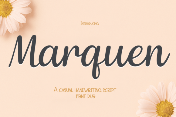 Marquen: A Designer’s Honest Review