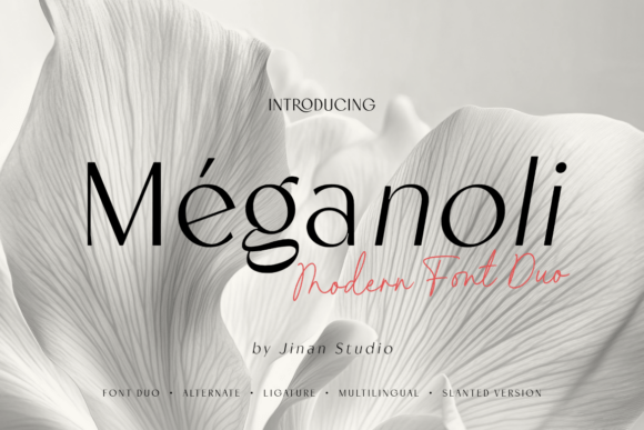Meganoli Duo: A Modern Typeface for Editorial Design